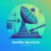 Satellite Spectrum - Auction Models