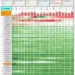 Global Currency Movements Unveiled: Analyzing Nominal & Real Effective Exchange Rates Across Broad (64) and Narrow (27) Baskets